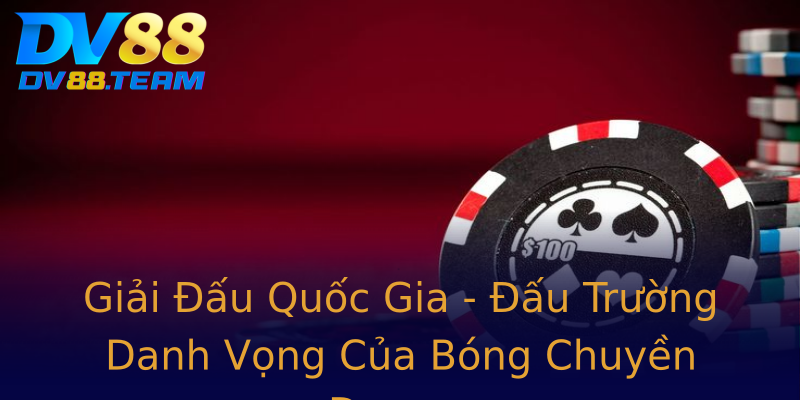 Giải Đấu Quốc Gia - Đấu Trường Danh Vọng Của Bóng Chuyền Dragon