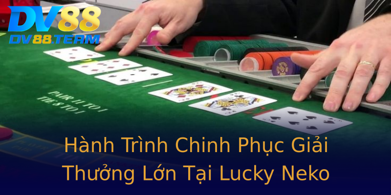 Hành Trình Chinh Phục Giải Thưởng Lớn Tại Lucky Neko