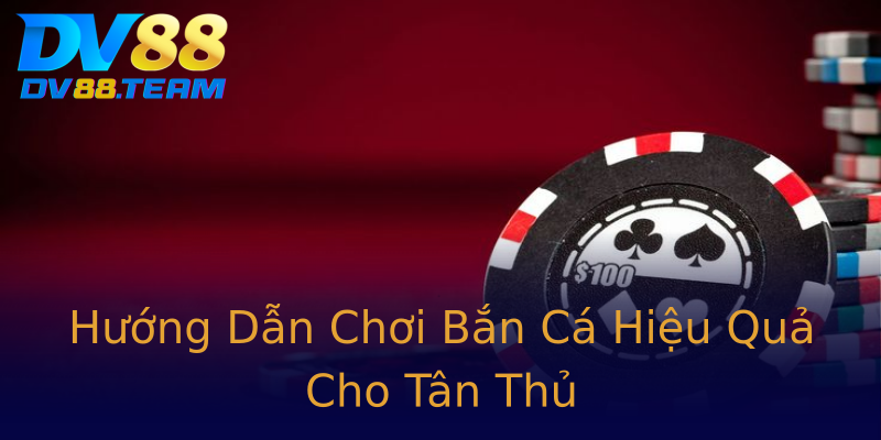 Hướng Dẫn Chơi Bắn Cá Hiệu Quả Cho Tân Thủ