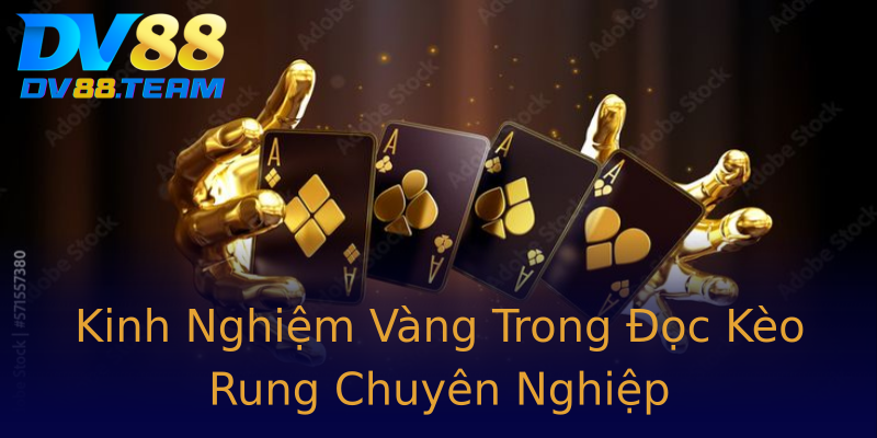 Kinh Nghiệm Vàng Trong Đọc Kèo Rung Chuyên Nghiệp
